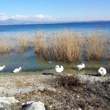 Debora Maison B&B Colombare Di Sirmione Экстерьер фото