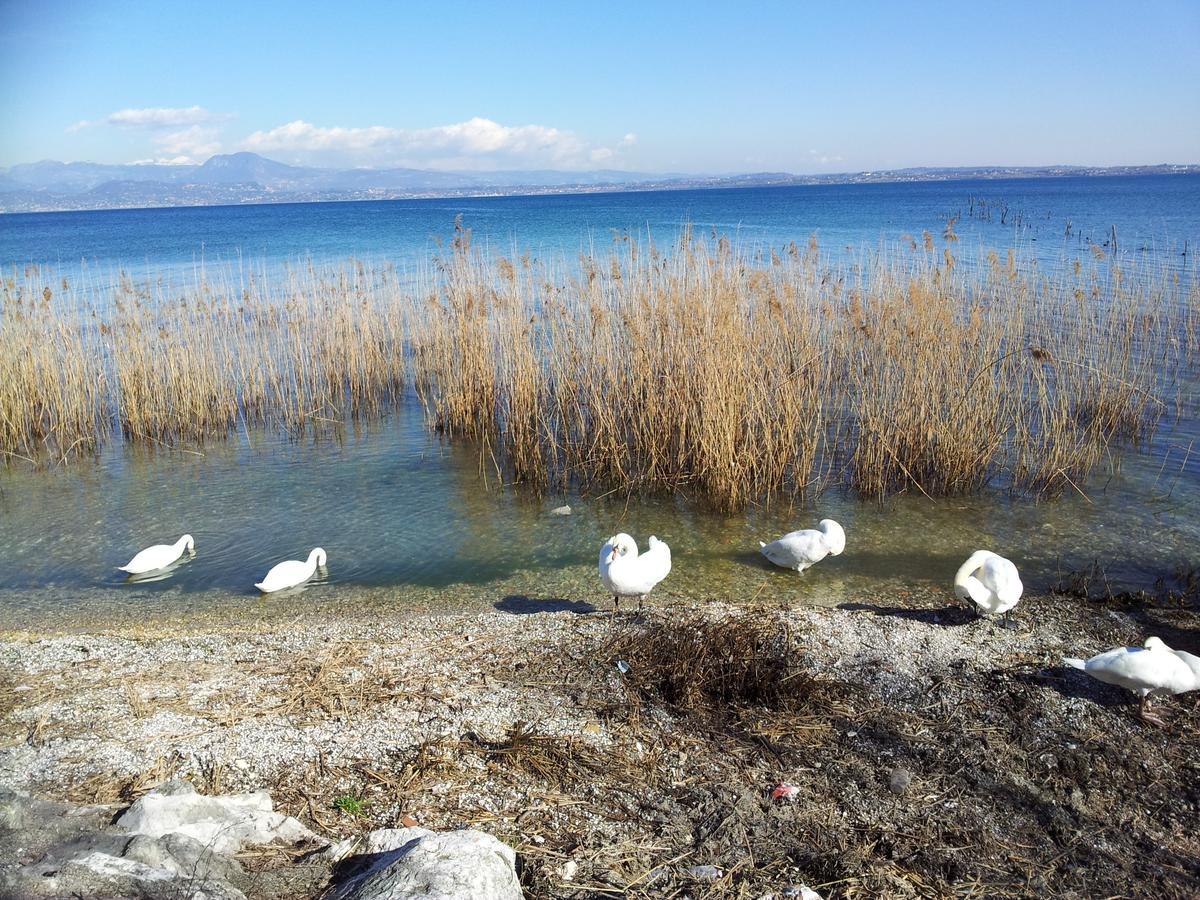 Debora Maison B&B Colombare Di Sirmione Экстерьер фото